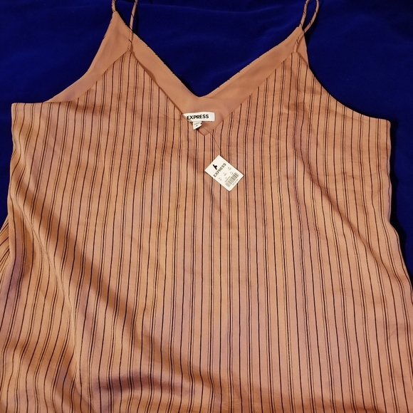 NWT Pink and Black striped Satin Cami by EXPRESS - Picture 2 of 4